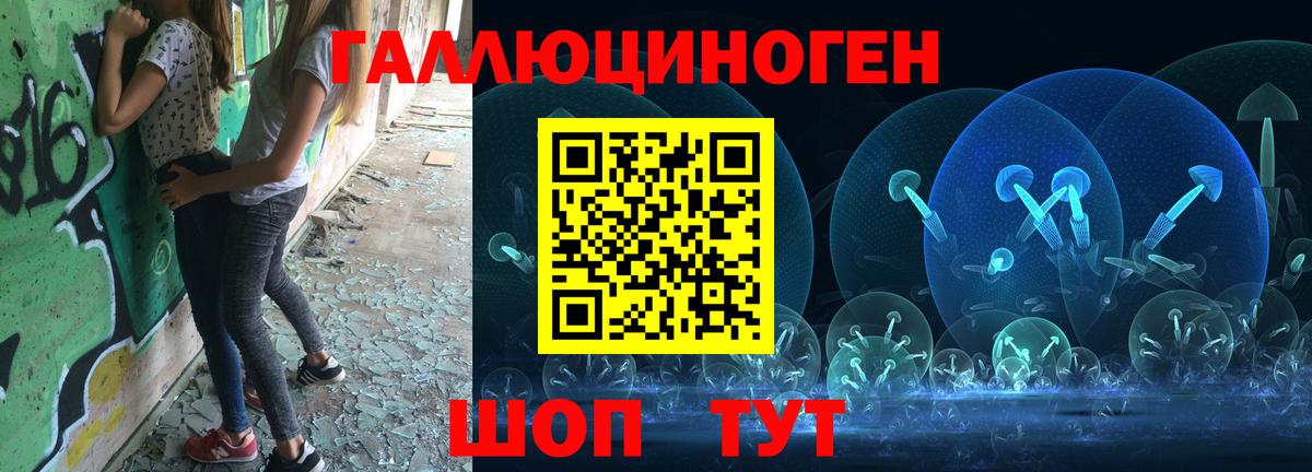 Галлюциногенные грибы Cubensis Полевской